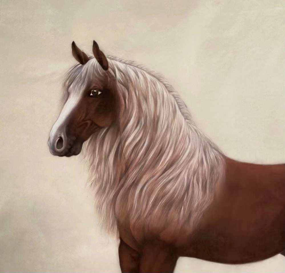 B18b7780ebefe3d83c02c5ae43cec84